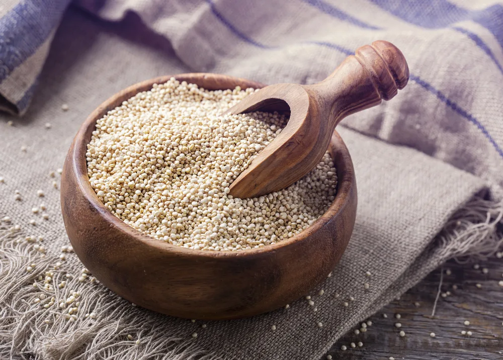 La quinoa no es un cereal, es el grano de planta produce semillas que son comestibles y muy nutritivas.