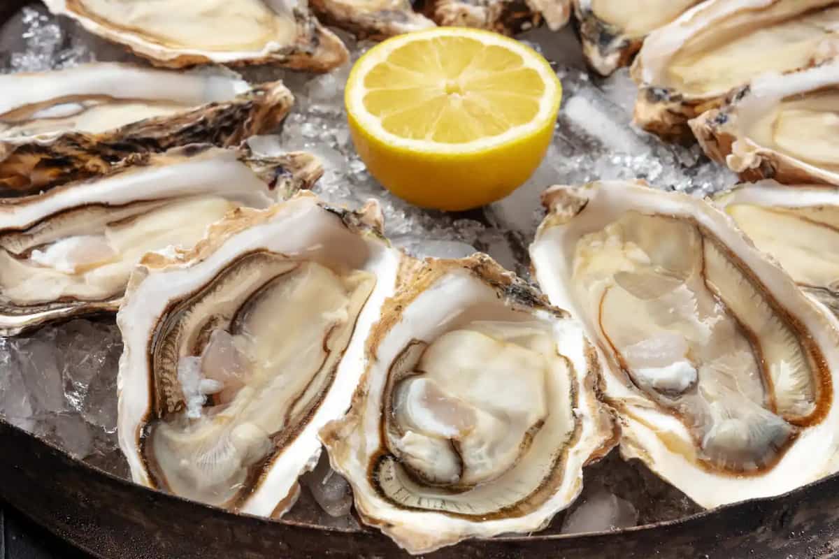 cómo preparar las ostras y otros moluscos