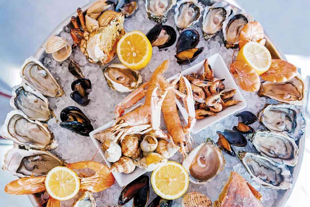 aprende a diferencia diferentes mariscos, especialmente moluscos los cuales tienen sabores, olores y texturas diferentes ostiones, ostras, almejas y mejillones