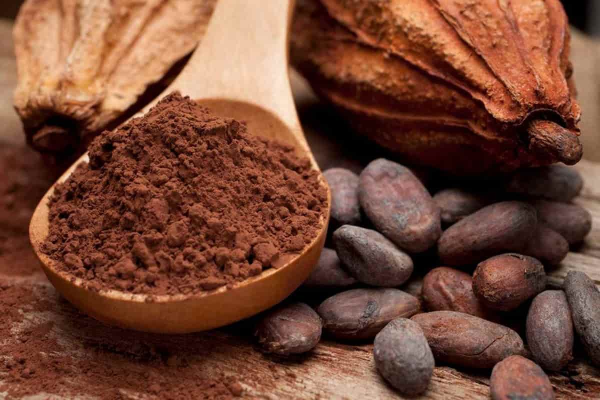 cacao y café  guatemalteco 
