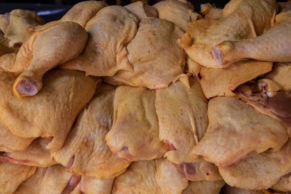 pollo contaminado en Tlaxcala una problemática grave de ausencia de inocuidad alimentaria