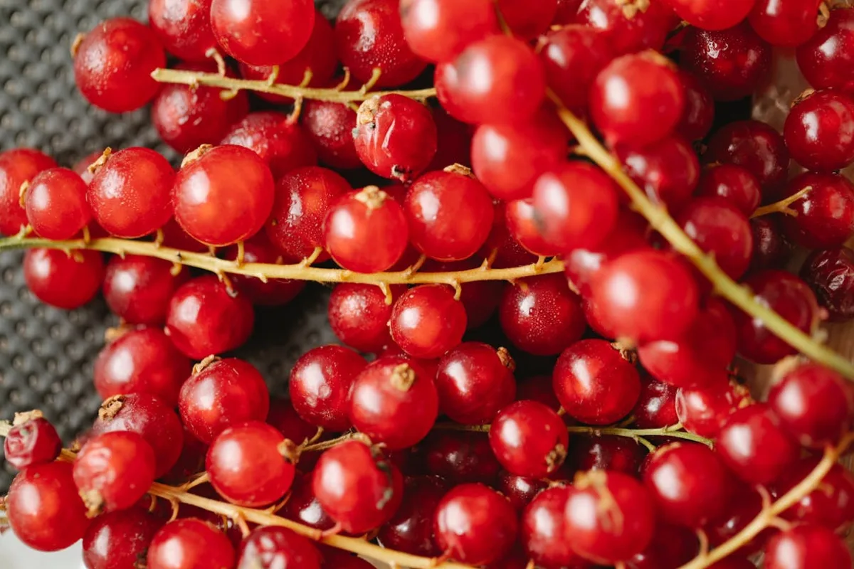 ¿Sabías que las grosellas son una increíble fuente en antioxidantes? / Foto: Pexels