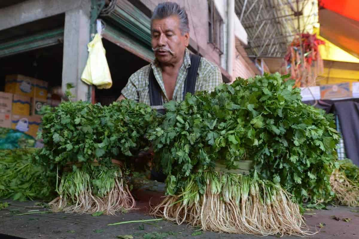 aumenta el precio del cilantro en 400%