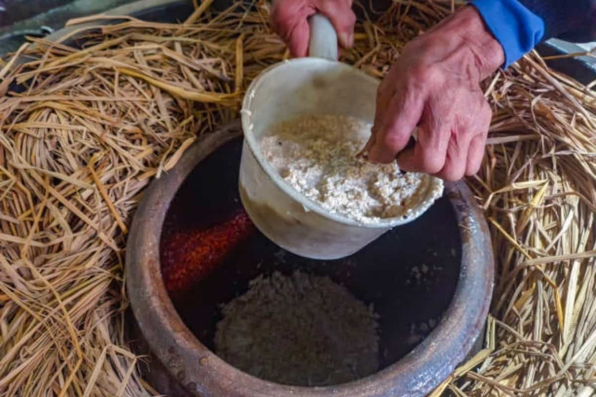 El sake bebida fermentada elaborada con arroz, agua, levadura y hongo koji. / Foto: iStock