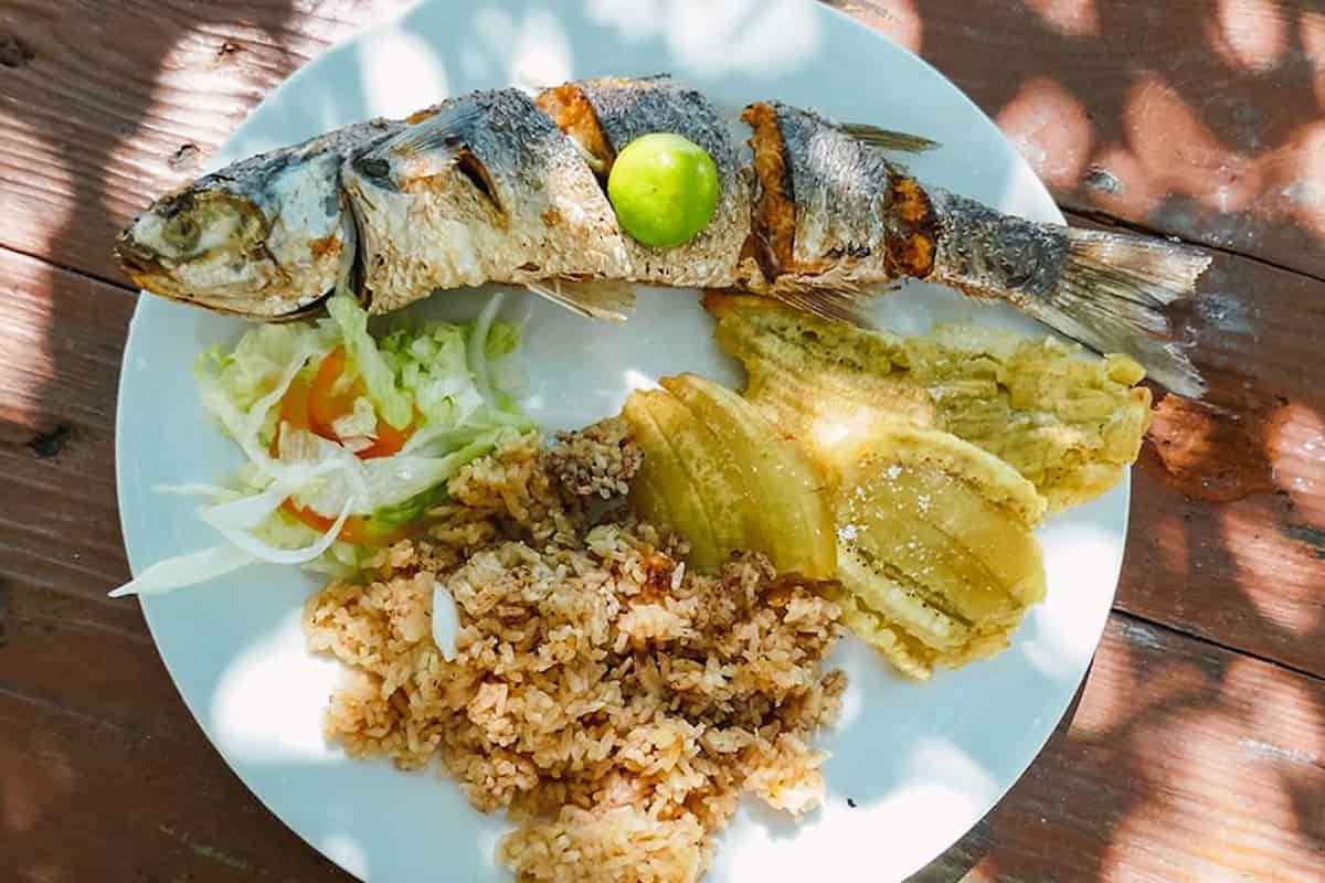 gastronomía del Caribe colombiano es una gran referencia para el contexto cultural de las obras del autor