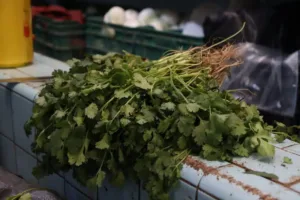 por qué subió el precio del cilantro