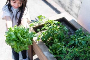 Cómo hacer tu huerto urbano con niños paso a paso. / Foto: Shutterstock