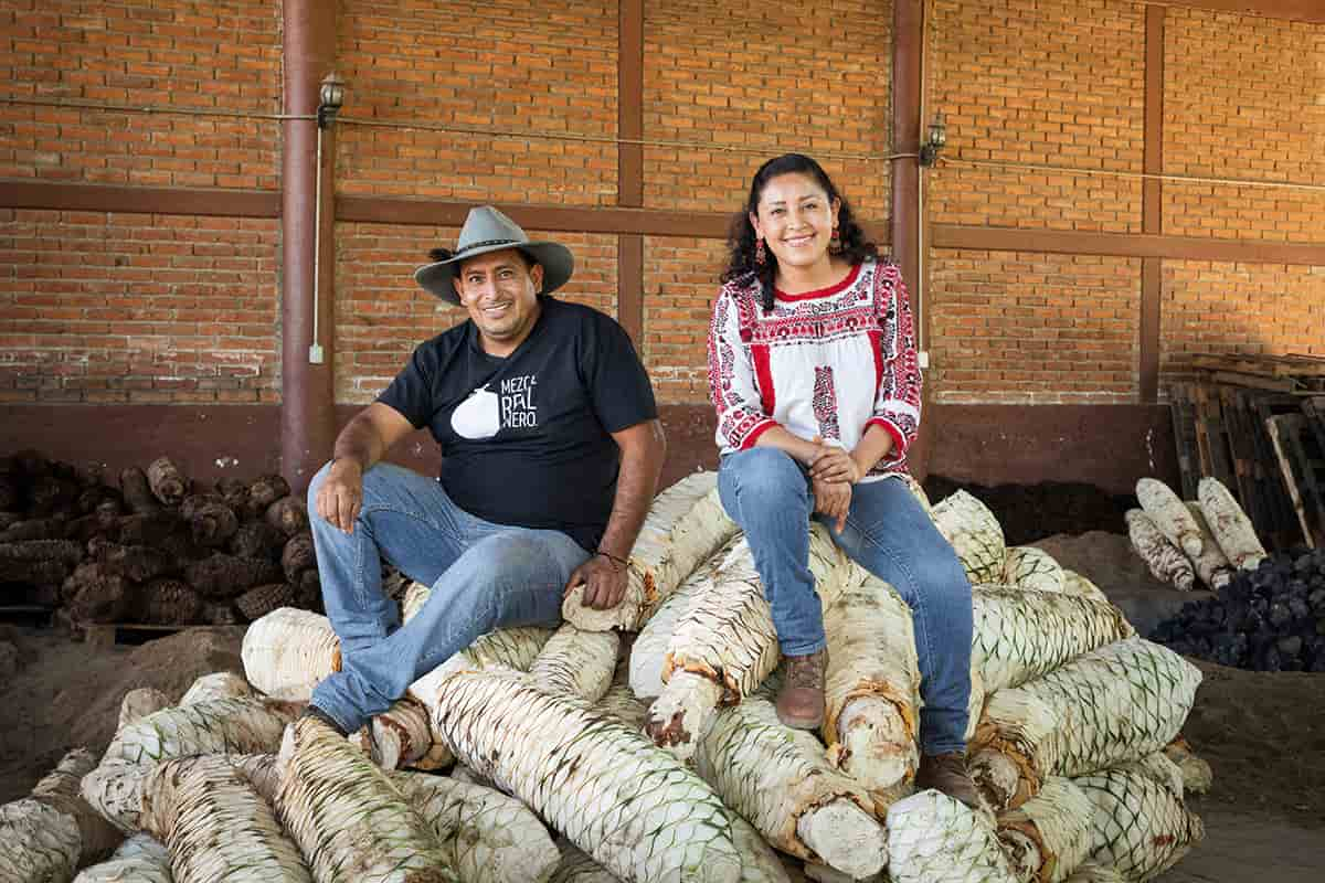 conservacion de agave