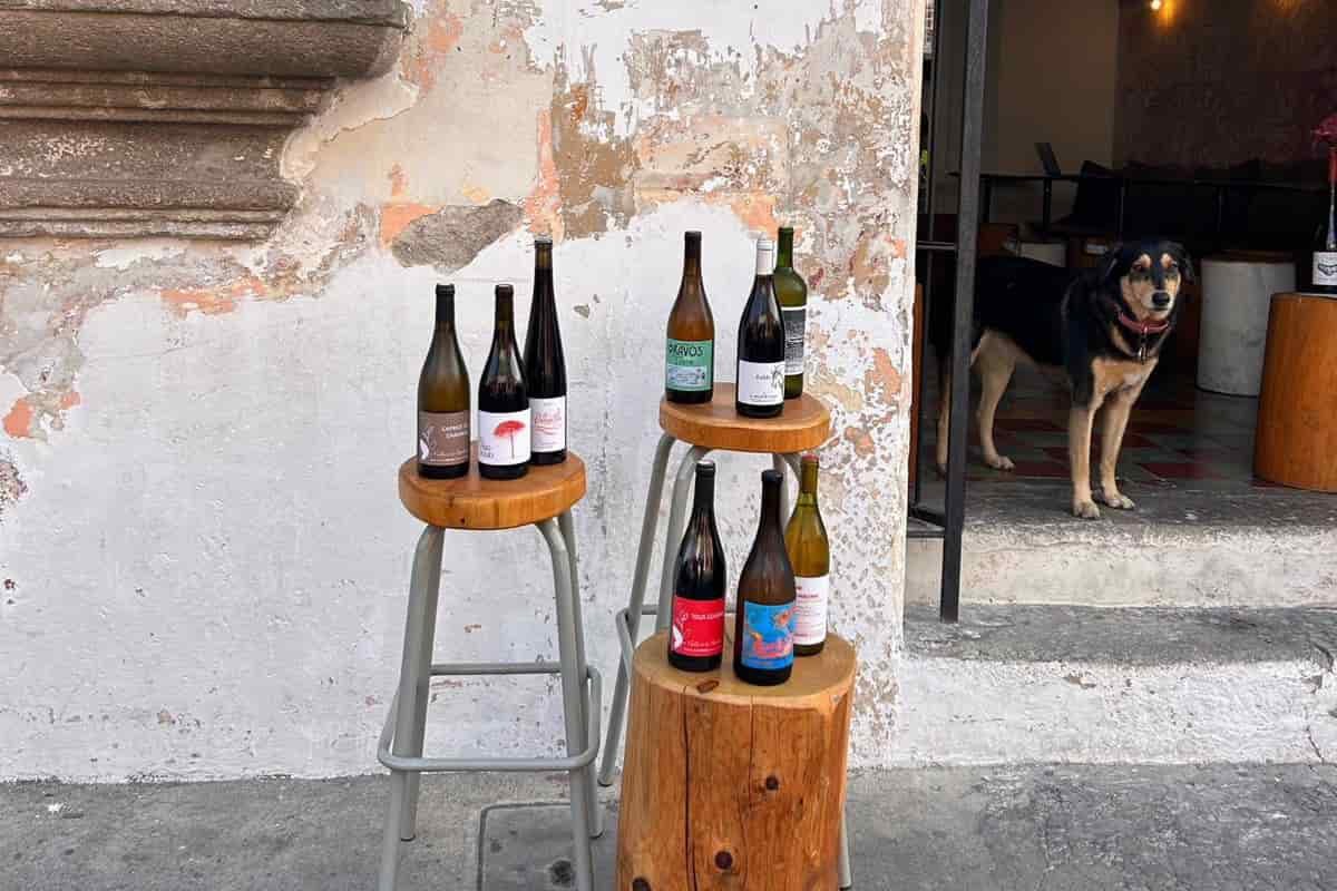 Vinos en Antigua Guatemala