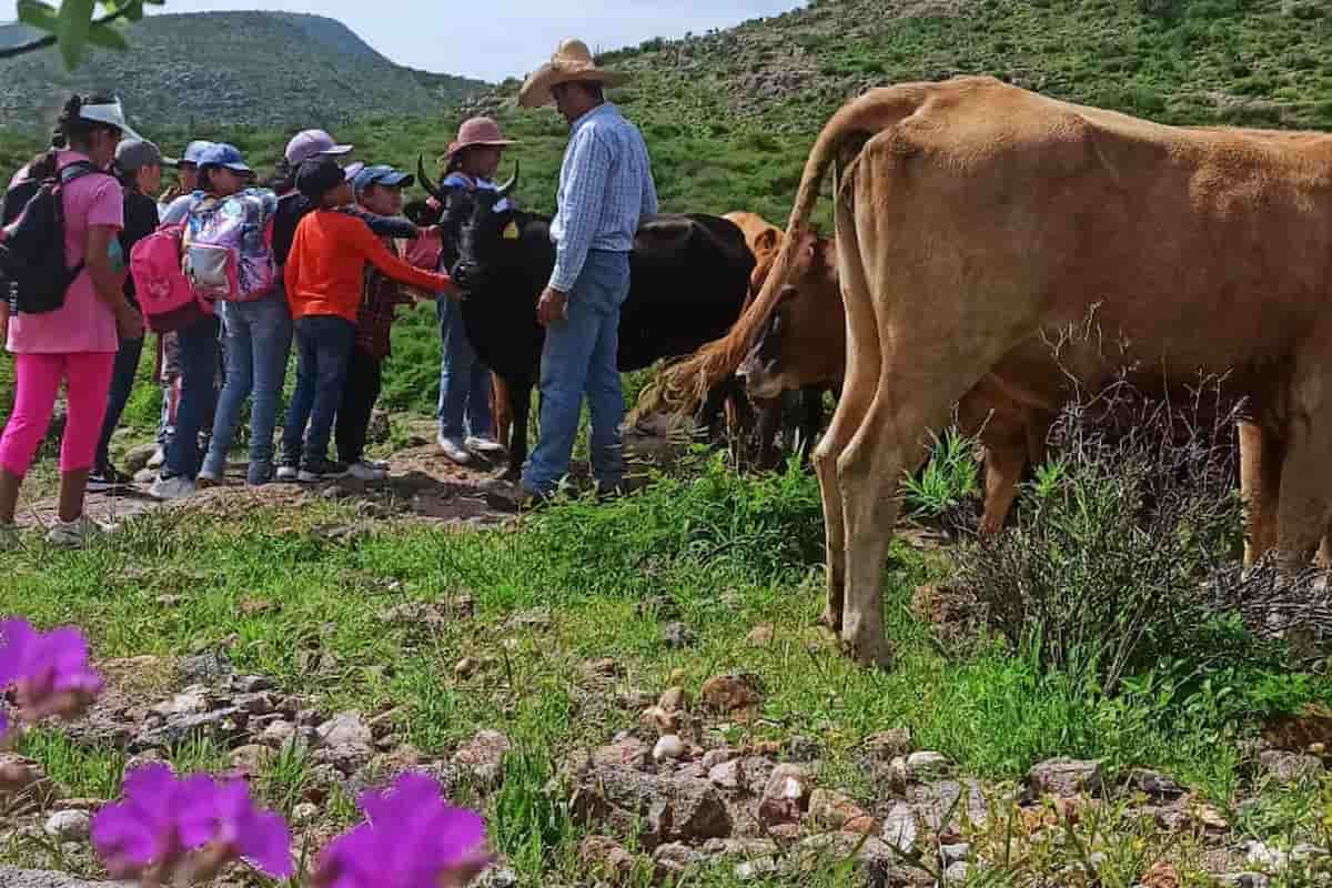 Proyectos culturales en Querétaro