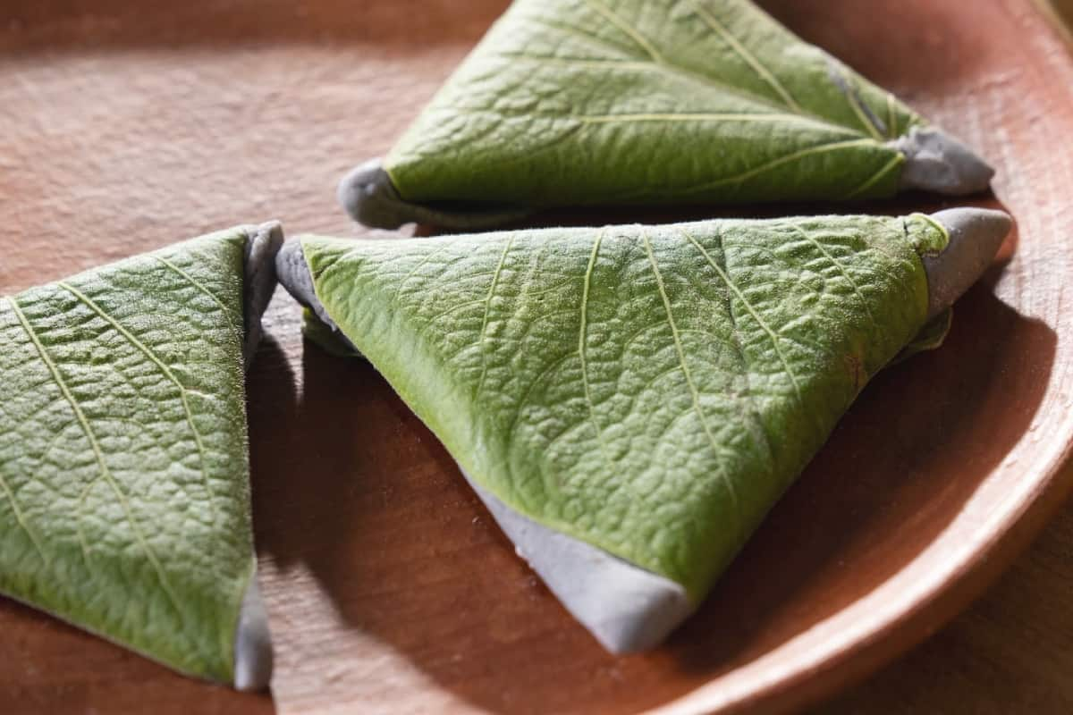 Hojas de Plantas más Usadas en la Gastronomía Mexicana.