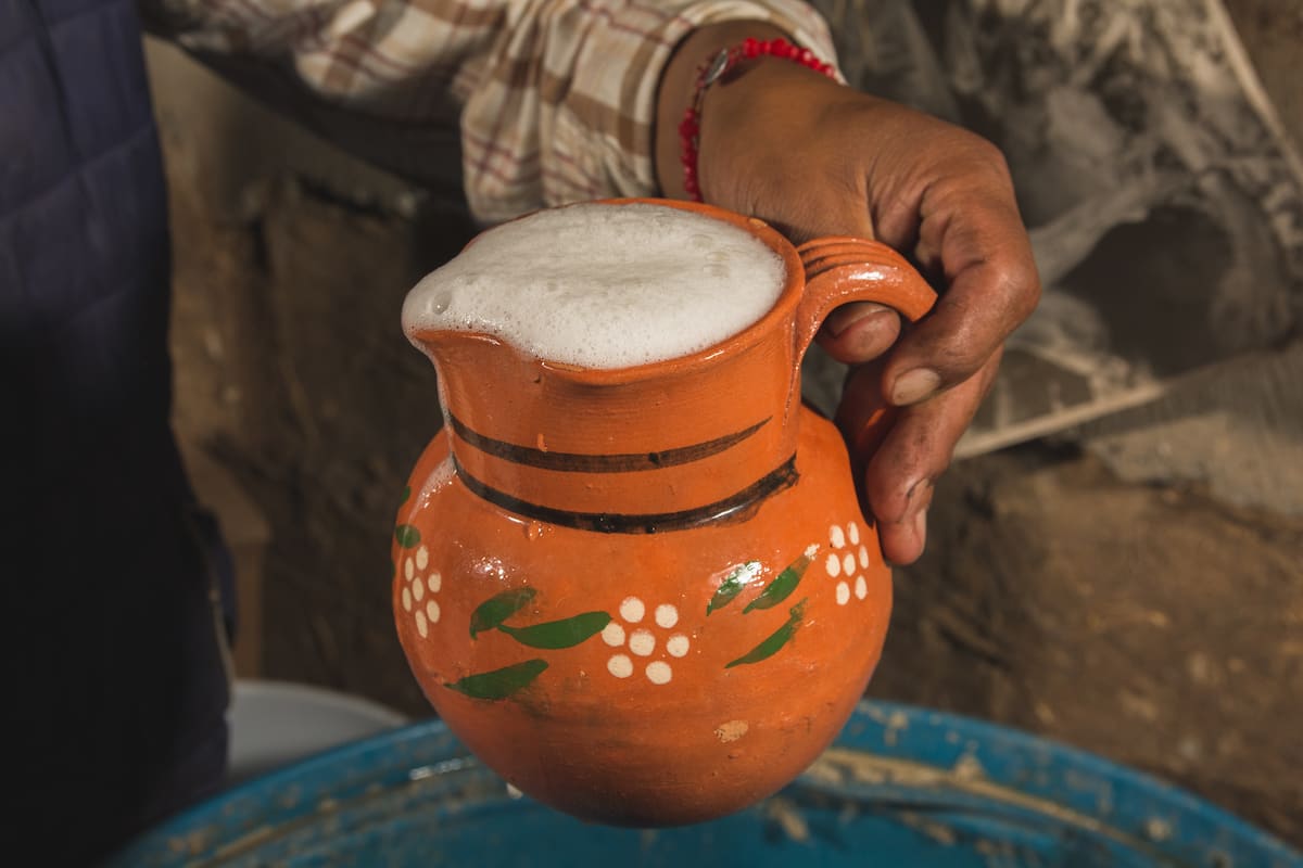 Disfruta de un pulque y un mezcal en estas fechas patrias