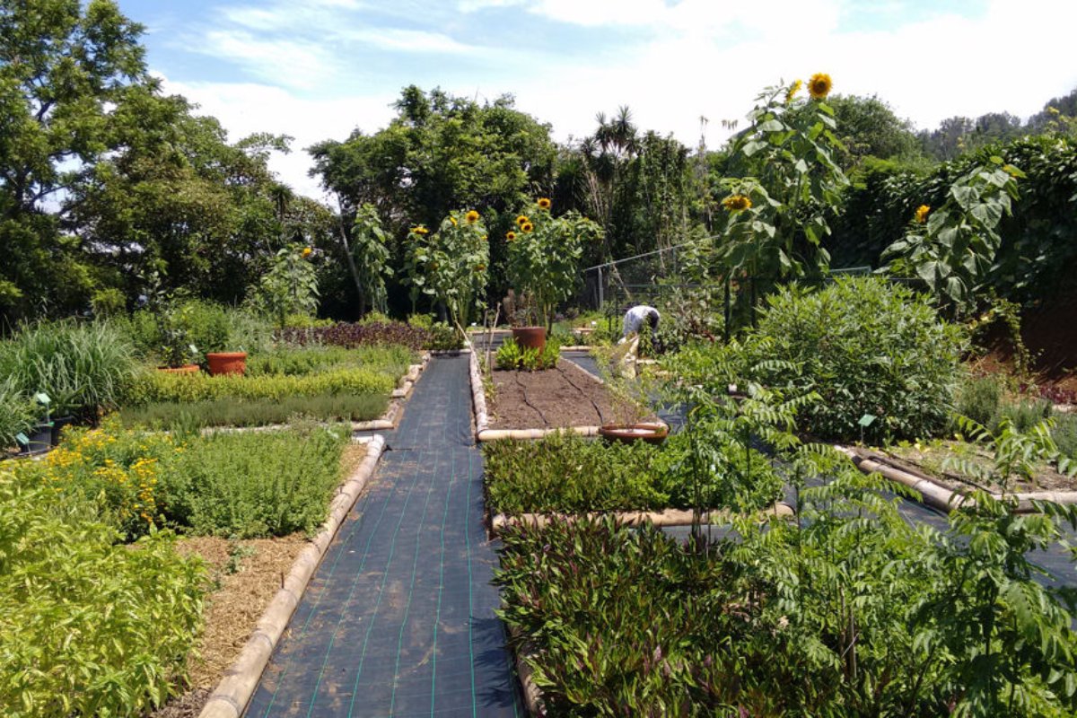 jardin botanico en costa rica