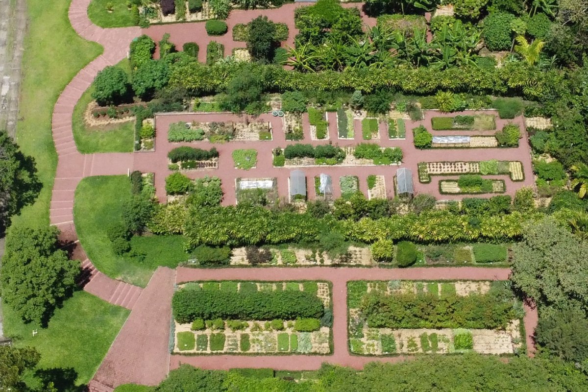 jardin botanico the green ark