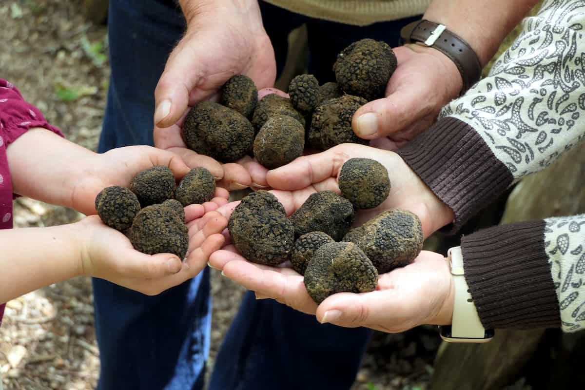 cómo se consumen las trufas 