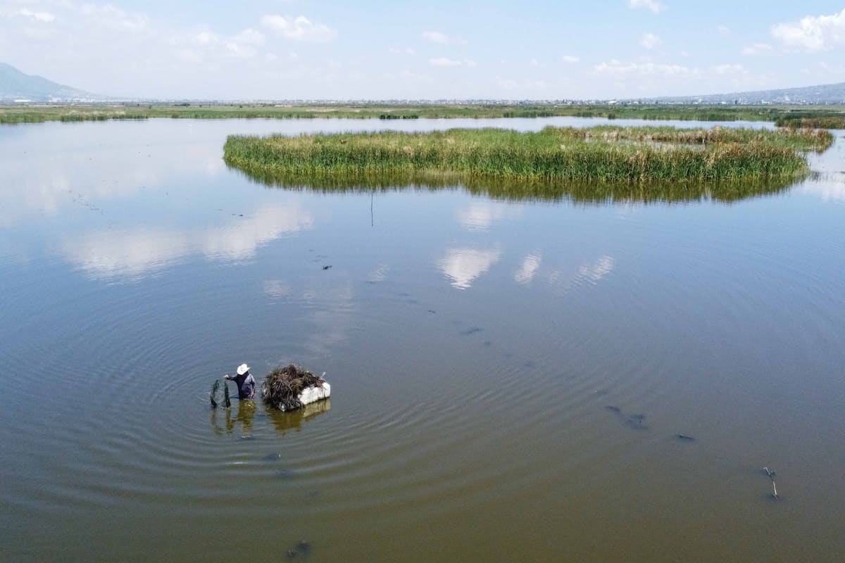 Parque Ecológico Lago Texcoco