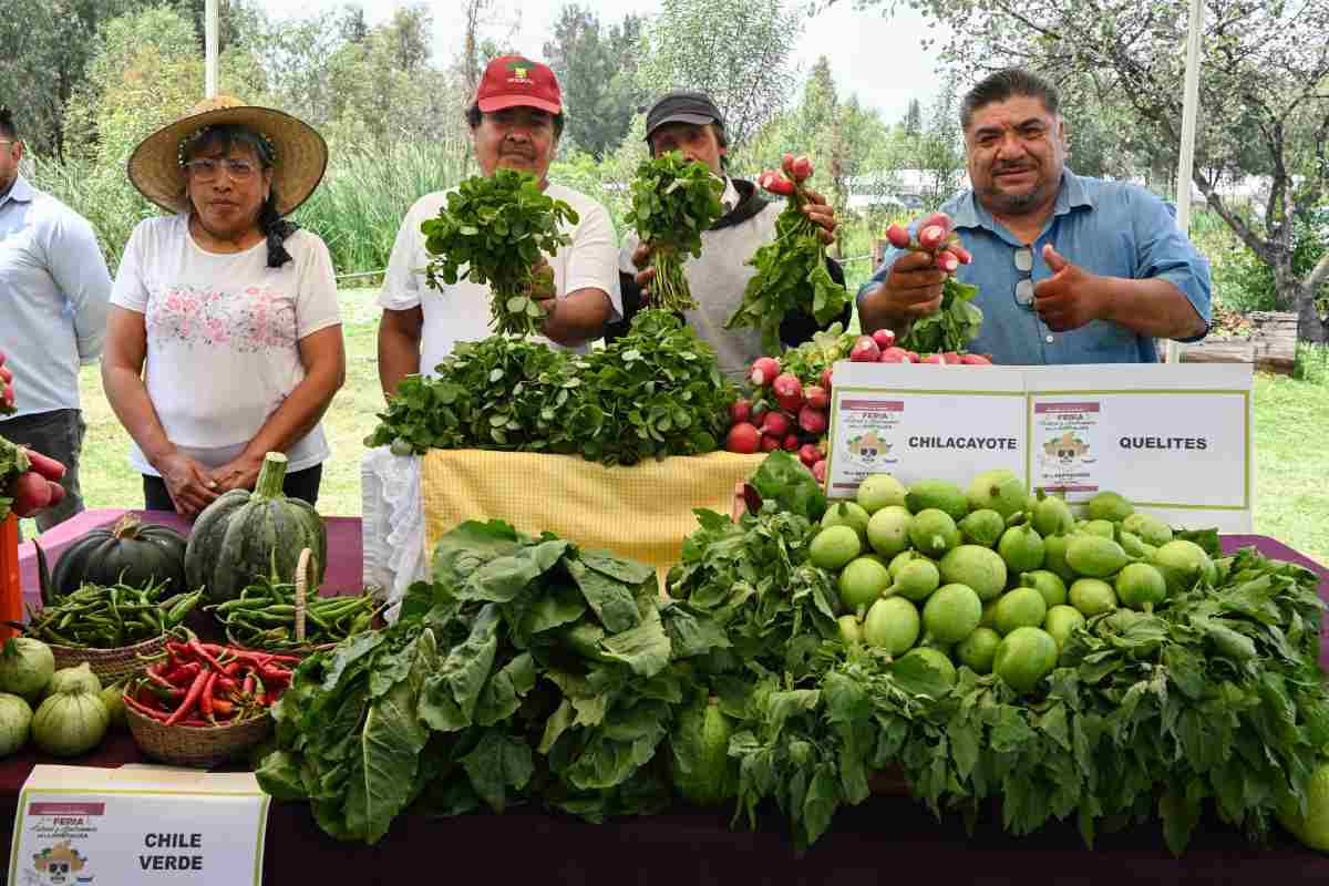 Productores de hortalizas. 