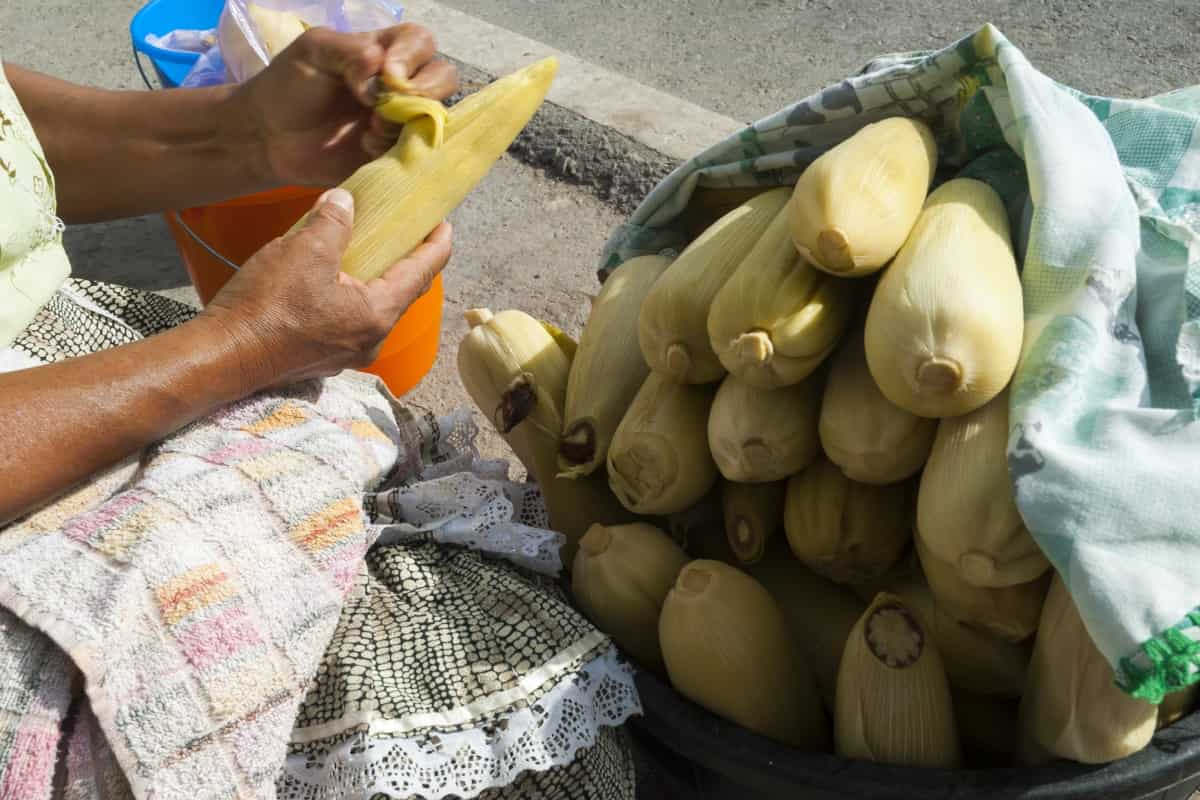 Receta de panqué de elote sin harina.