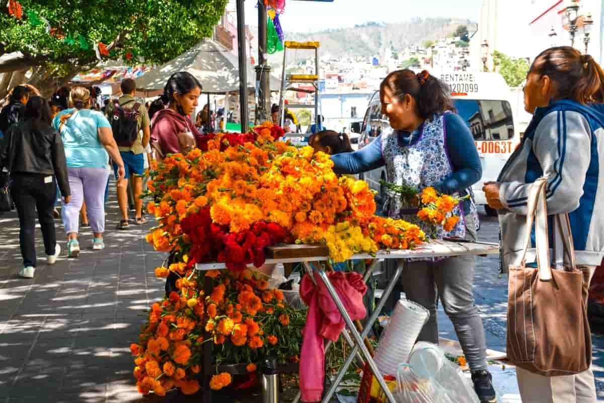 Recetas con flor de cempasúchil.