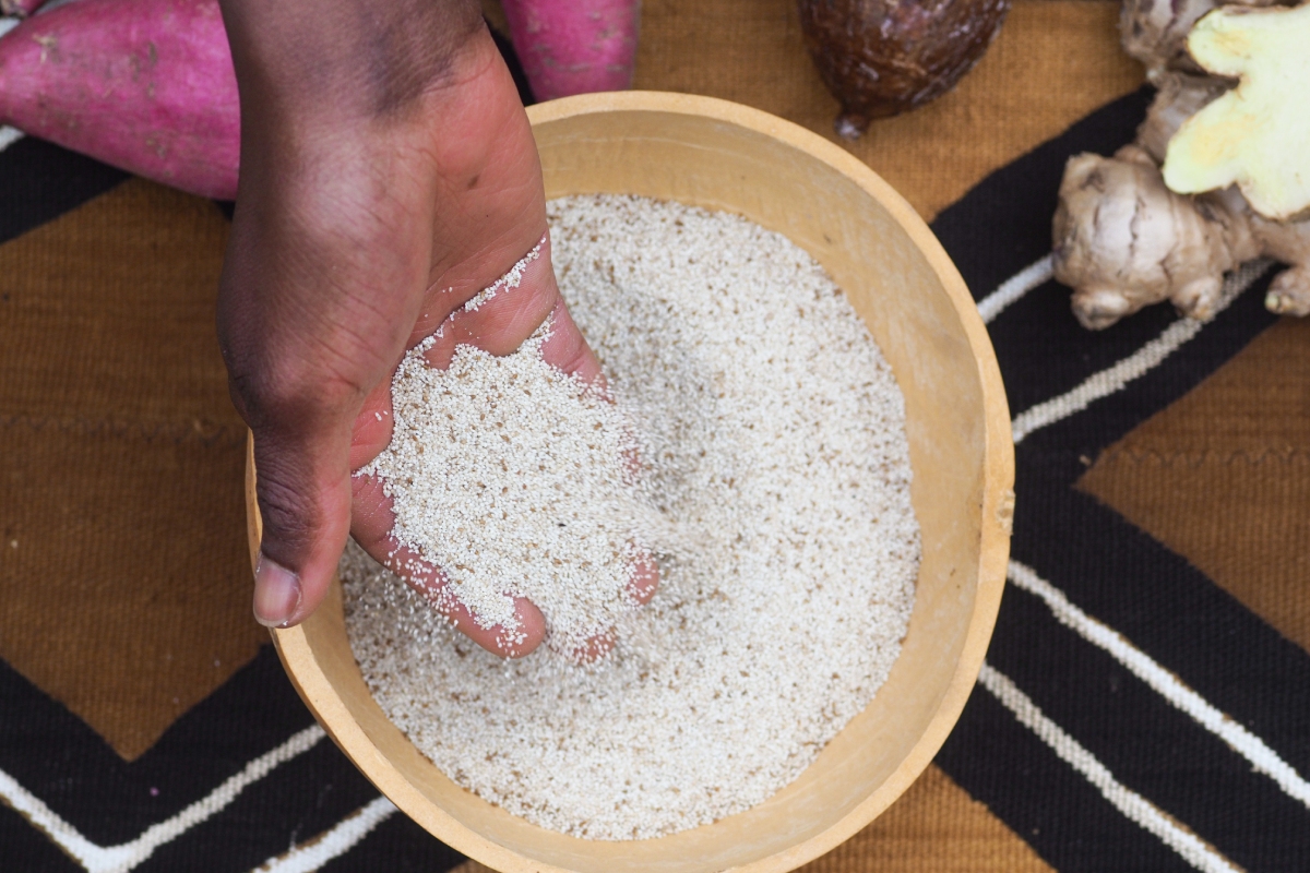 Teff: El Grano Antiguo que Ha Ganado Popularidad en la Alimentación Moderna.