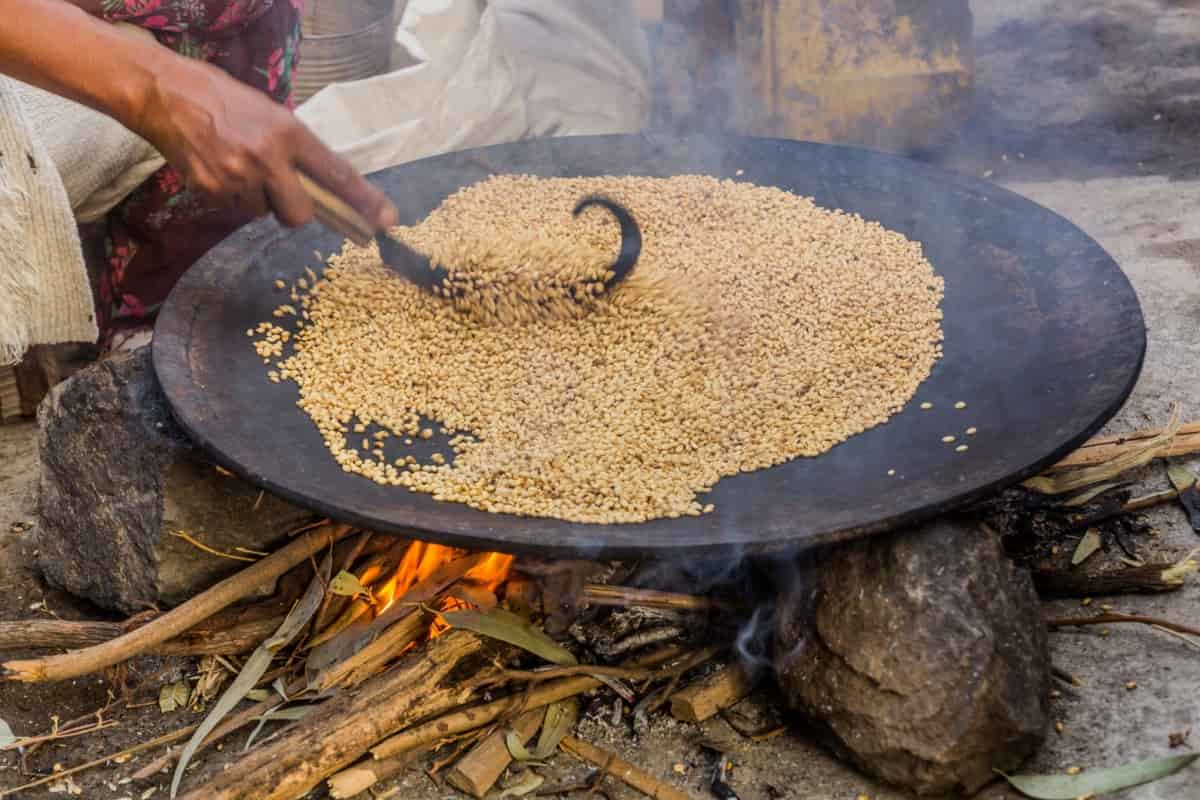 Teff: El Grano Antiguo que Ha Ganado Popularidad en la Alimentación Moderna.