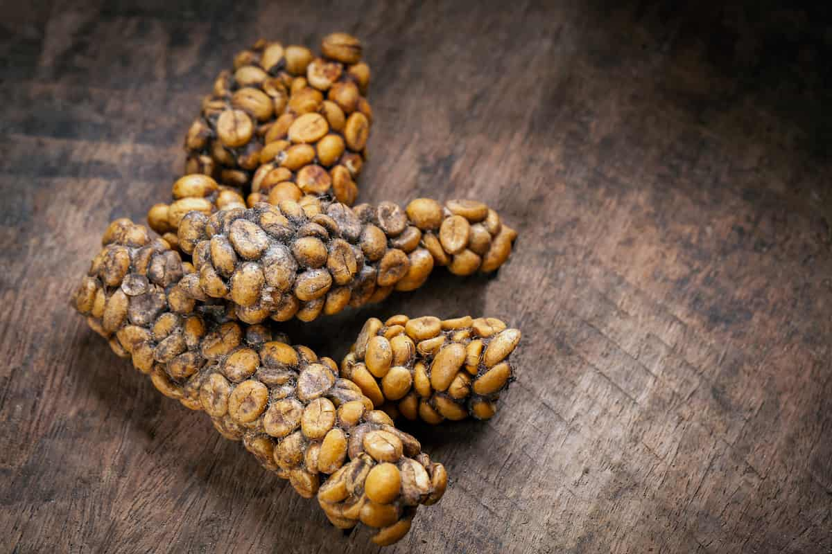 el kopi luwak es especial por emplear un método de producción orgánico y muy especial eso lo hace el más caro del mundo