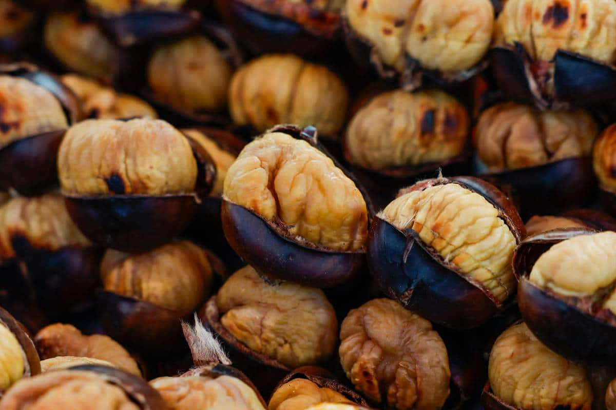 La castaña y su protagonismo en la gastronomía de otoño e invierno.