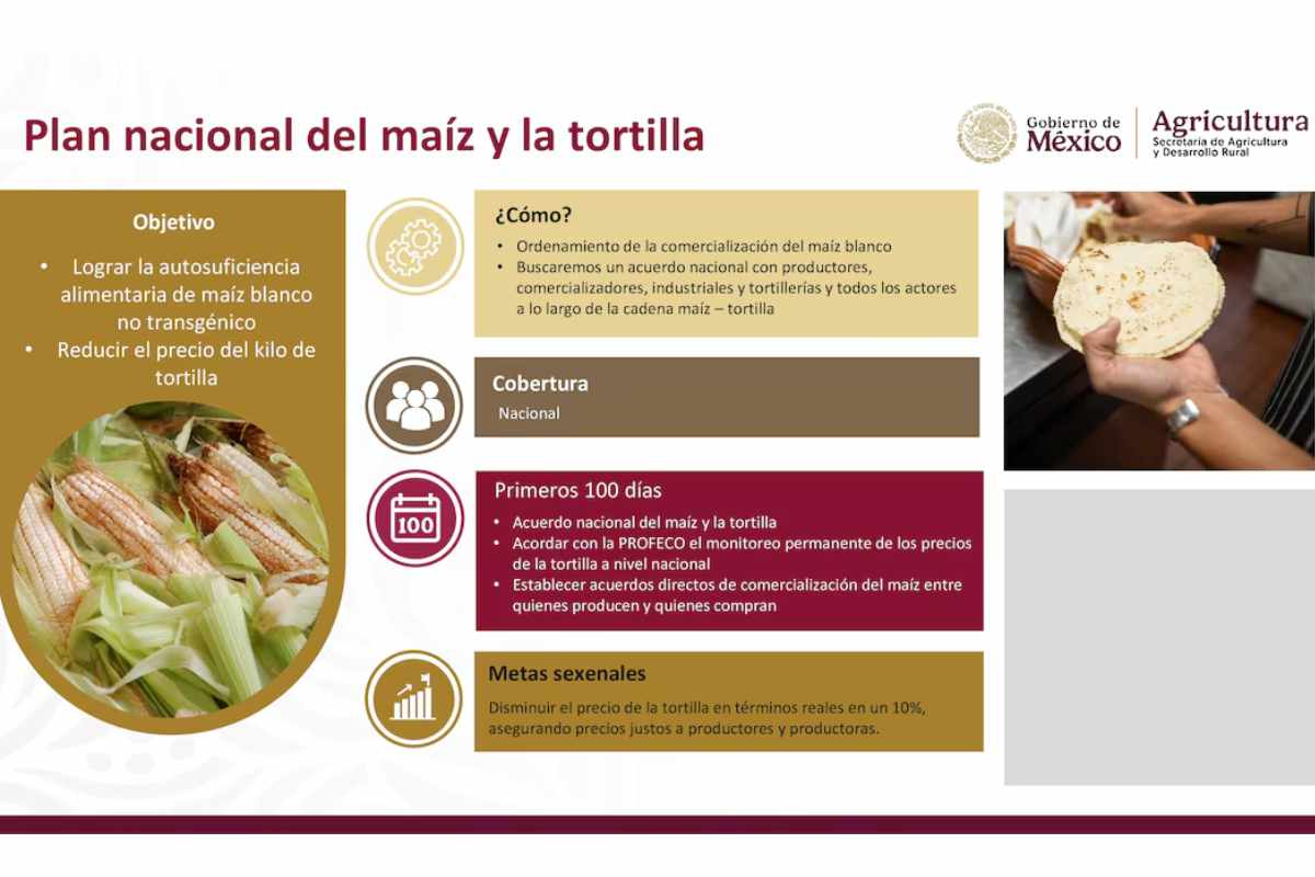 Plan Nacional del Maíz y la Tortilla presentado por el gobierno de Claudia Sheinbaum.