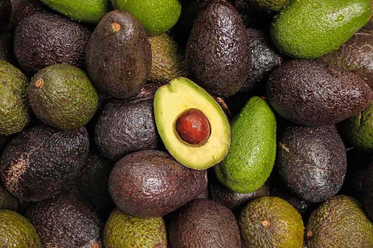 aguacate dentro de los afectados por el incremento de los aranceles