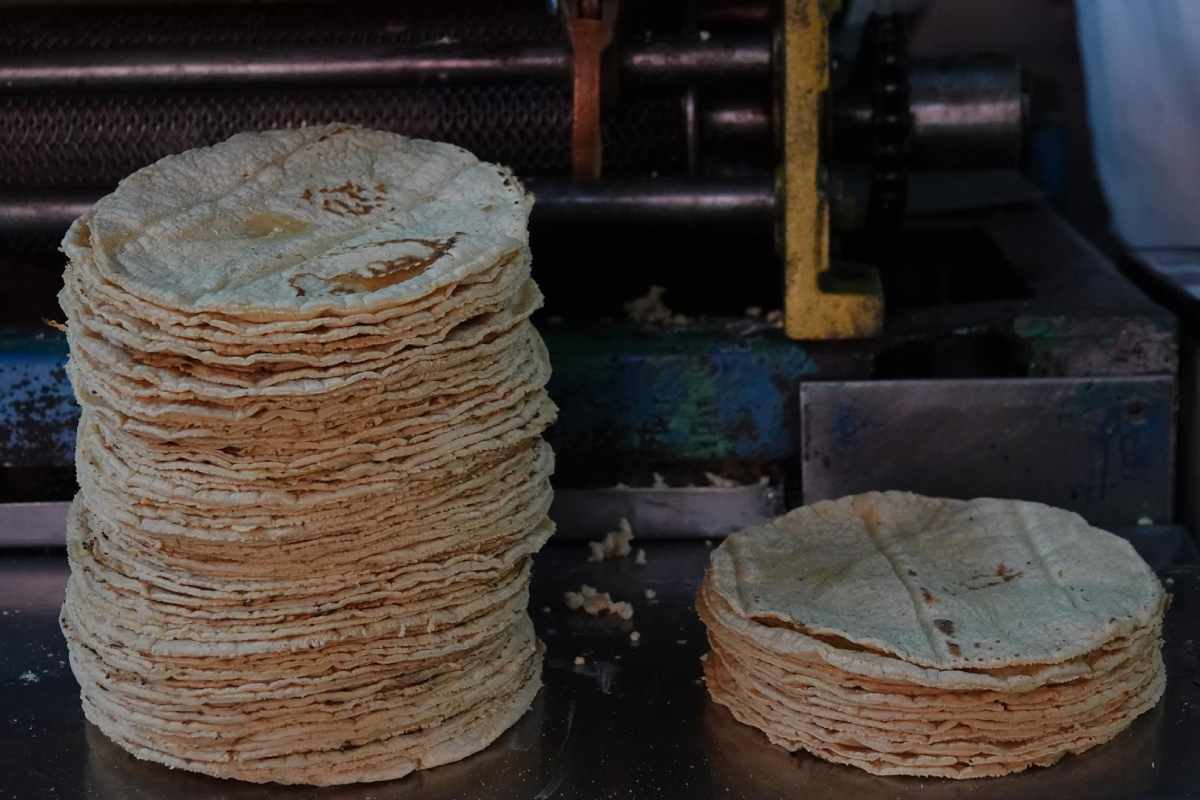 El precio de la tortilla actualmente está en 23 pesos el kilo.