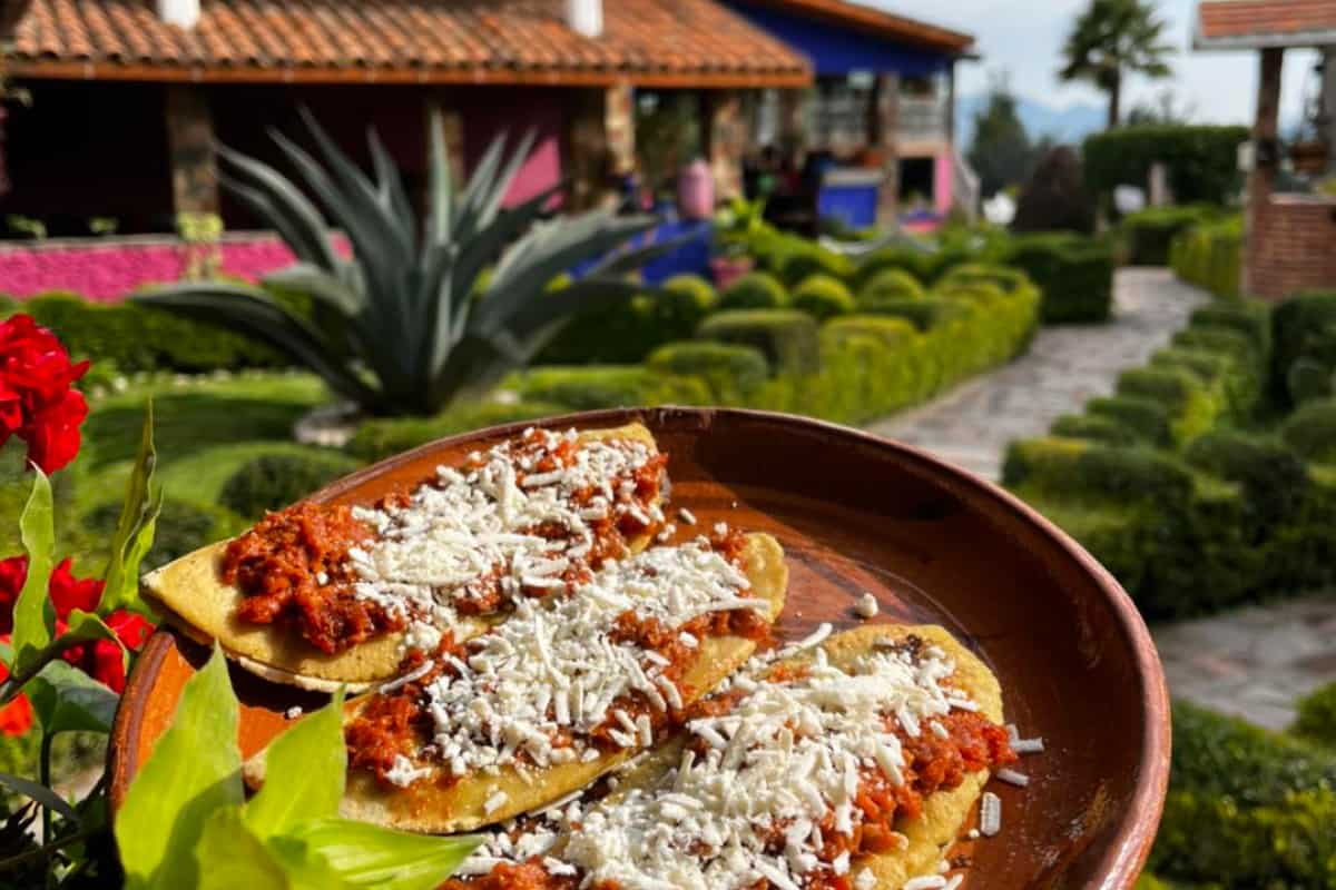 dónde comer cerca del Bosque de los Árboles de Navidad en Amecameca