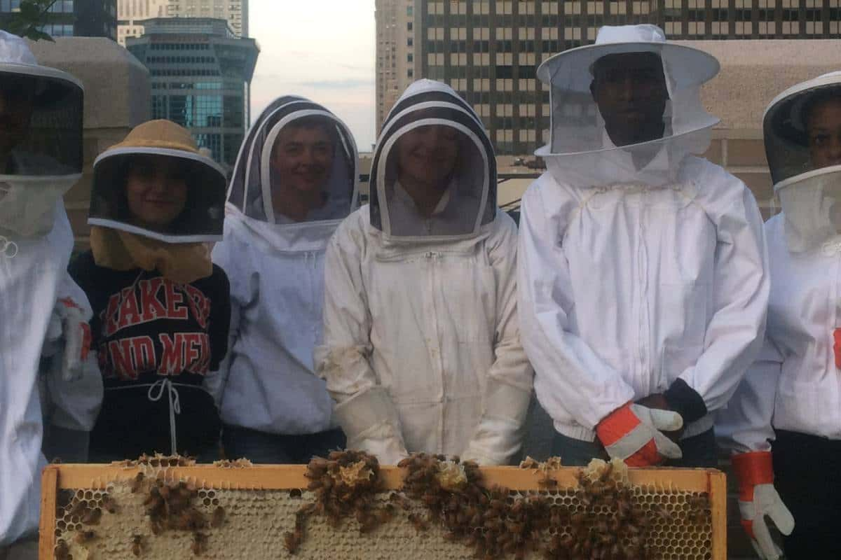 Conoce las abejas de Nueva York y la apicultura urbana de esta ciudad.